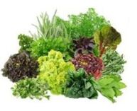 B9 B9 Vitamine für das Gehirn